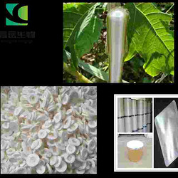 厂家现货供应通草提取物