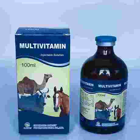 复合维生素注射液 Multi vitamin injection