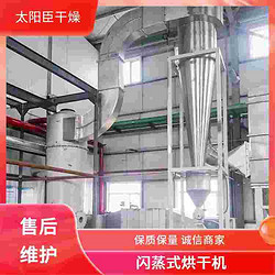 太阳臣干燥 减少生产工序 精工制造功率大 食用小苏打旋转闪蒸干燥机