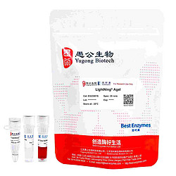 LightNing® AgeI 限制酶