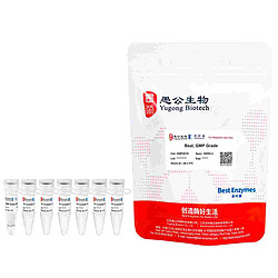 BsaI, GMP Grade （ GMP Grade 限制性内切酶 ）