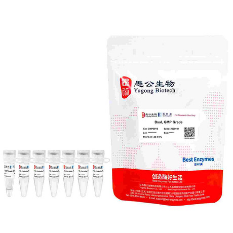 BsaI, GMP Grade （ GMP Grade 限制性内切酶 ）