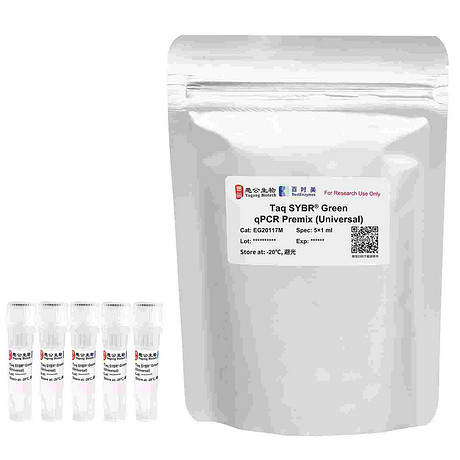 Taq SYBR® Green qPCR Premix (Universal) 抗体热启动染料法荧光定量PCR预混液（通用ROX）
