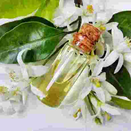 Jasmine Essential Oil