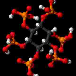 Phytic Acid