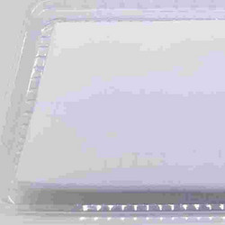 牛腱I型胶原蛋白原料
