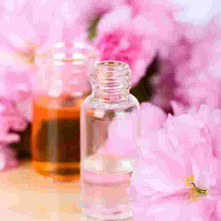 Geranium Essential Oil