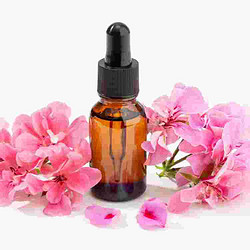 Geranium Essential Oil