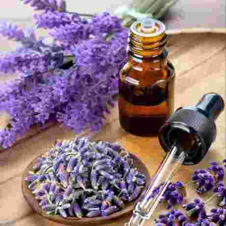 Lavender Essential Oil