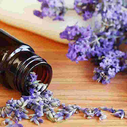Lavender Essential Oil