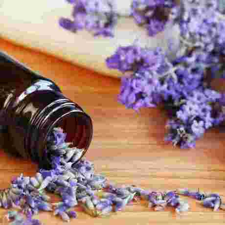 Lavender Essential Oil
