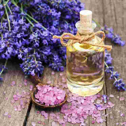 Lavender Essential Oil