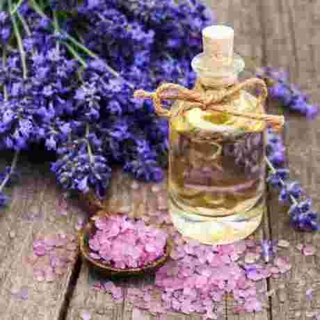 Lavender Essential Oil