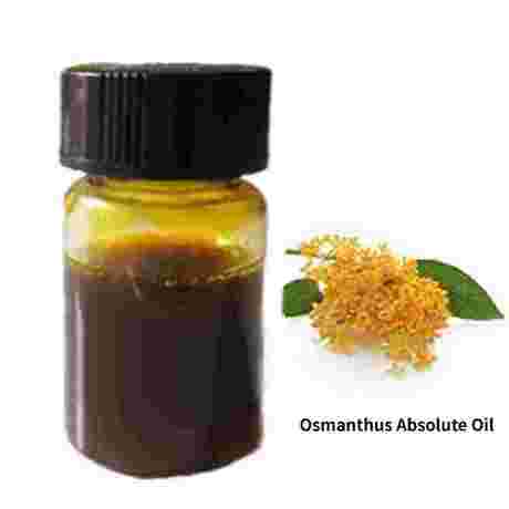 Osmanthus Absolute Oil