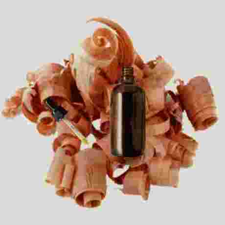 Arborvitae Essentail Oil