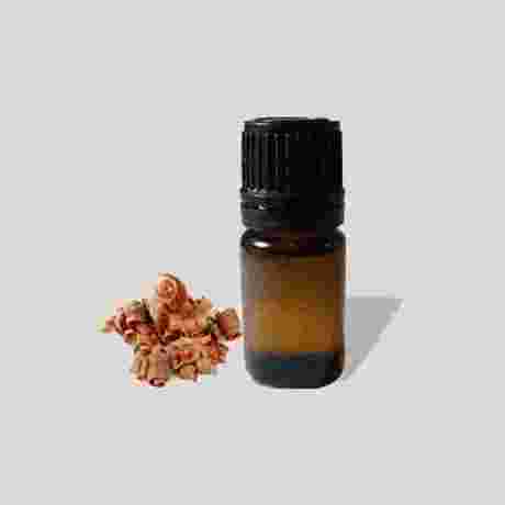 Arborvitae Essentail Oil