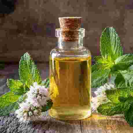 Peppermint essential oil