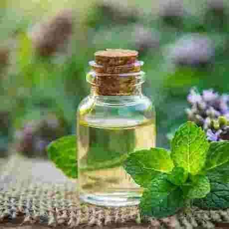 Peppermint essential oil