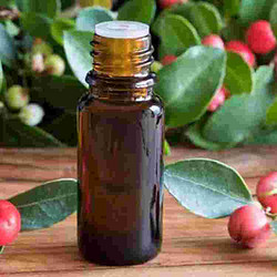 Wintergreen Oil