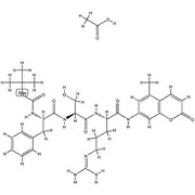 重组胰蛋白酶 Recombinant Trypsin