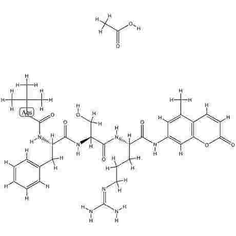重组胰蛋白酶 Recombinant Trypsin