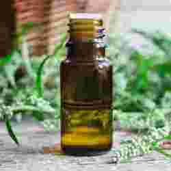 Mugwort Essential Oil