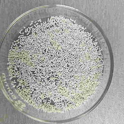 Coated Calcium butyrate 80%
