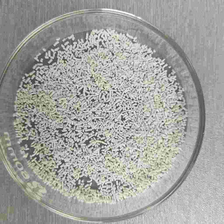 Coated Calcium butyrate 80%