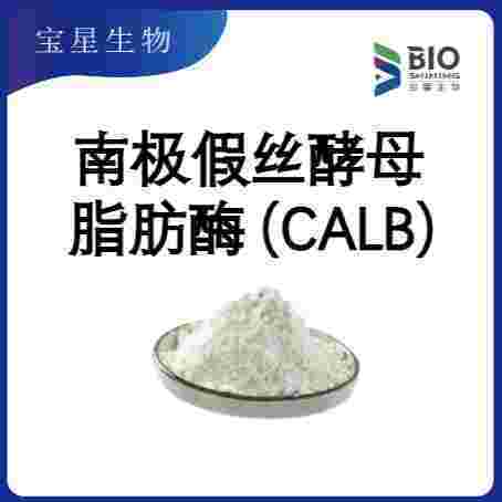 南极假丝酵母脂肪酶B