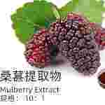 桑葚提取物