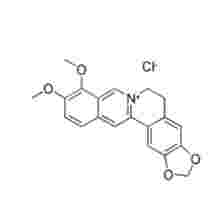 鹽酸小檗堿 Berberine Hydrochloride 633-65-8