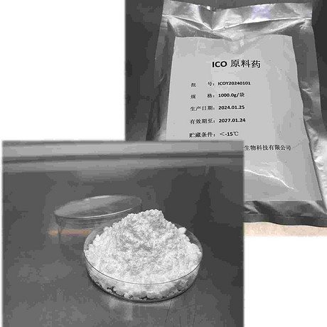 Insulin Icodec 依柯胰岛素