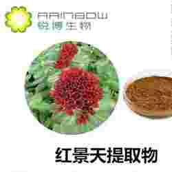 红景天提取物