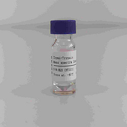 Chymotrypsin蛋⽩酶
