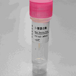 O-糖蛋⽩酶