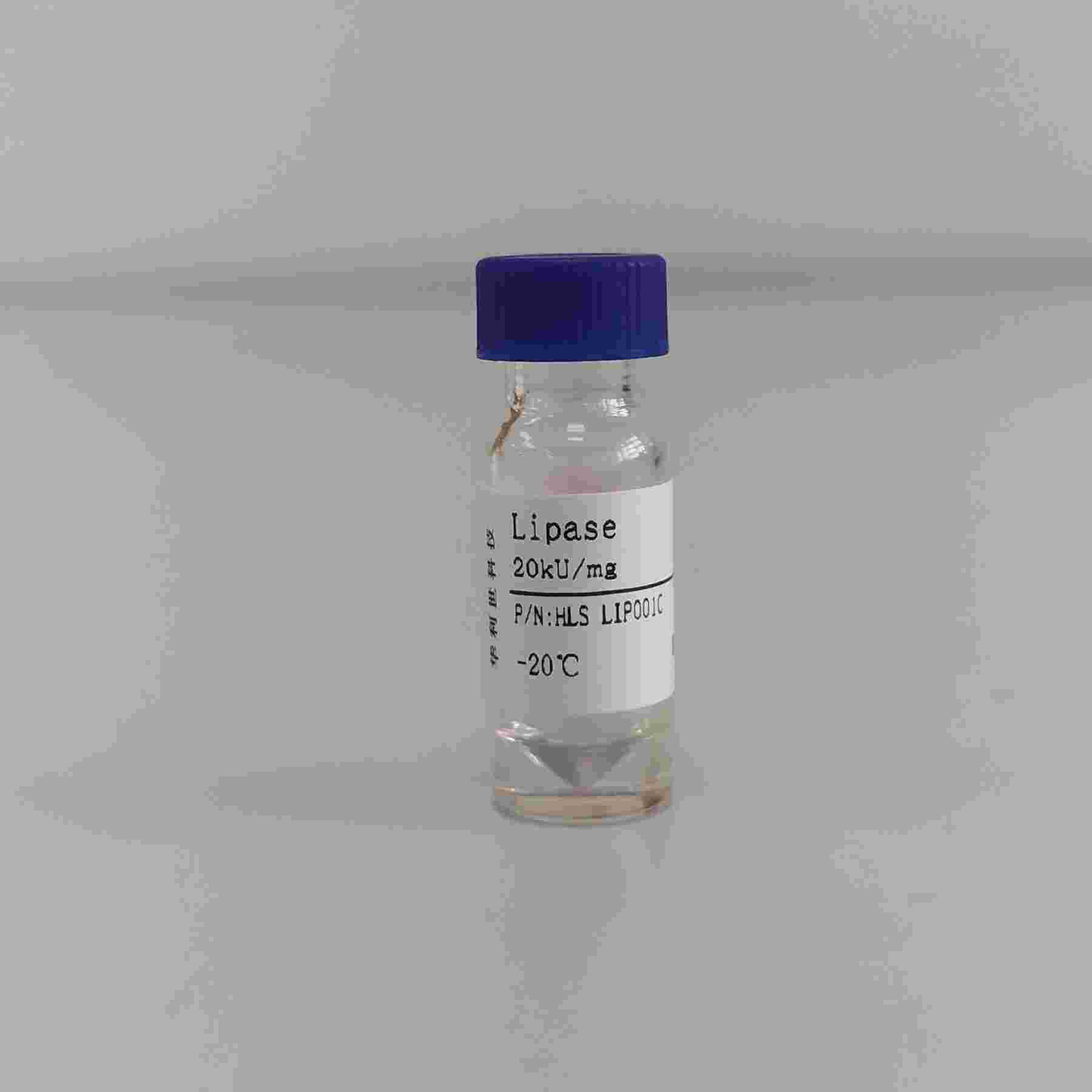 Lipase 脂肪酶