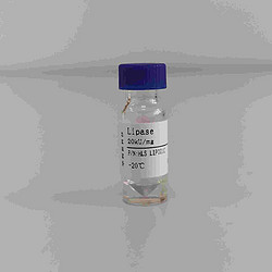 Lipase 脂肪酶