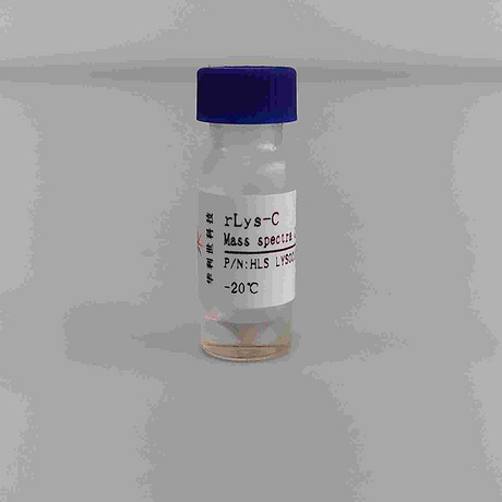 rLys-C  蛋白酶