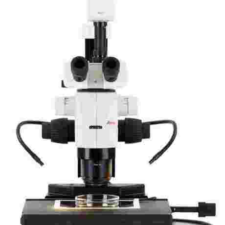 编码型体视显微镜M205C
