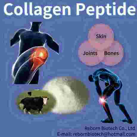 Fish Collagen Peptide Factory for health care