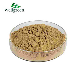 唯奧生物 黨參提取物10:1 生粉 規(guī)格齊全 黨參多糖 源頭廠家