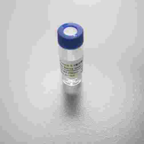 rTrypsin 3.0 蛋白酶