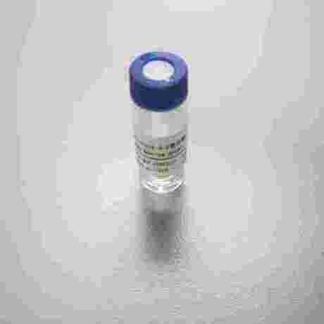 rTrypsin 3.0 蛋白酶