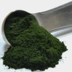 有机小球藻（粉末/片剂）Organic Chlorella (Powder/Tablet)