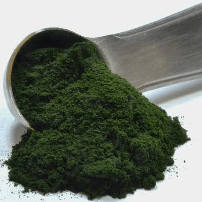 有机小球藻（粉末/片剂）Organic Chlorella (Powder/Tablet)