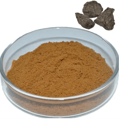 喜来芝提取物 Shilajit Extract 20% Fulvic acid