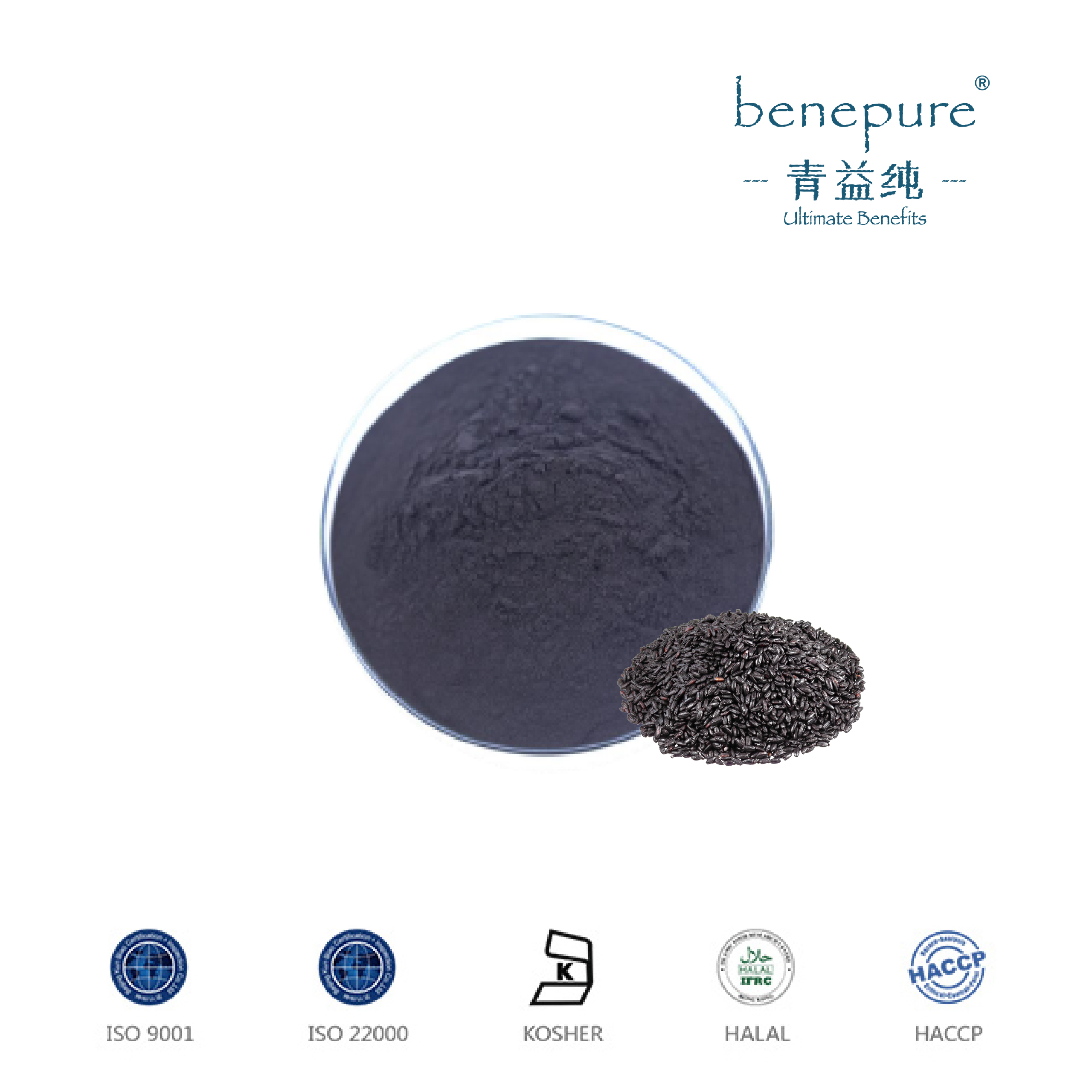 黑米提取物