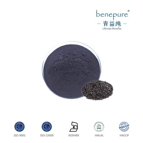 黑米提取物