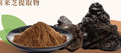 喜来芝提取物 富里酸 20%