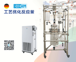 DIEHM蒂姆公斤级玻璃反应釜